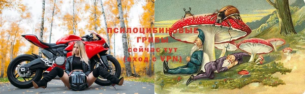 ALPHA-PVP Алзамай