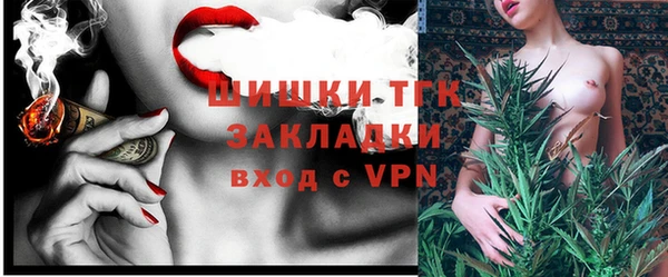 2c-b Ельня