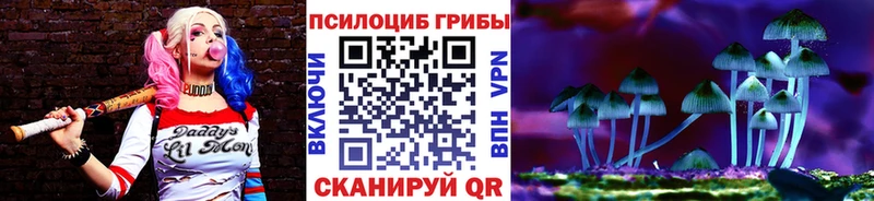Галлюциногенные грибы Psilocybine cubensis  Болгар 